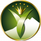 default-logo